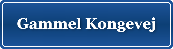 Parkering p&aring; Gammel Kongevej, K&oslash;benhavn