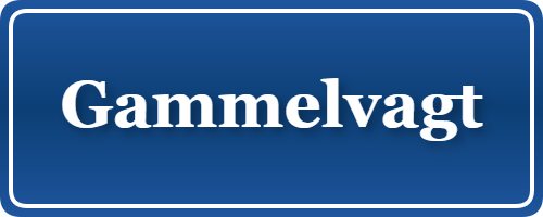 Parkering p&aring; Gammelvagt, K&oslash;benhavn