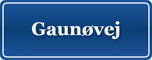 Parkering p&aring; Gaunøvej, K&oslash;benhavn