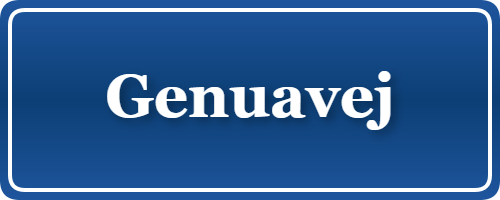 Parkering p&aring; Genuavej, K&oslash;benhavn