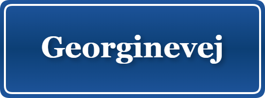 Parkering p&aring; Georginevej, K&oslash;benhavn