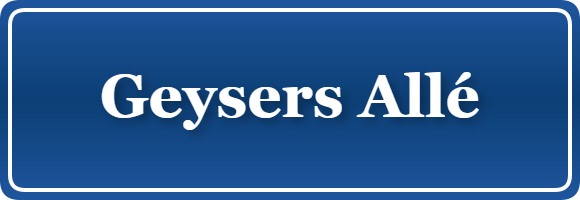 Parkering p&aring; Geysers Allé, K&oslash;benhavn