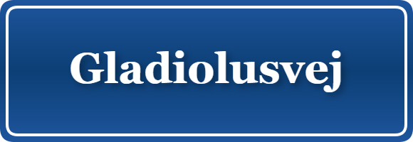 Parkering p&aring; Gladiolusvej, K&oslash;benhavn