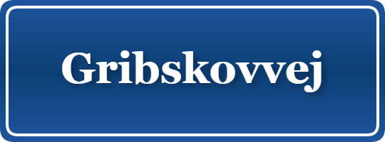 Parkering p&aring; Gribskovvej, K&oslash;benhavn