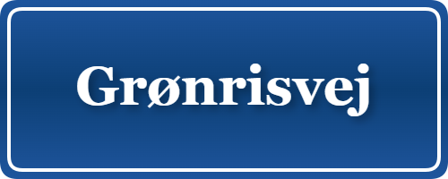 Parkering p&aring; Grønrisvej, K&oslash;benhavn