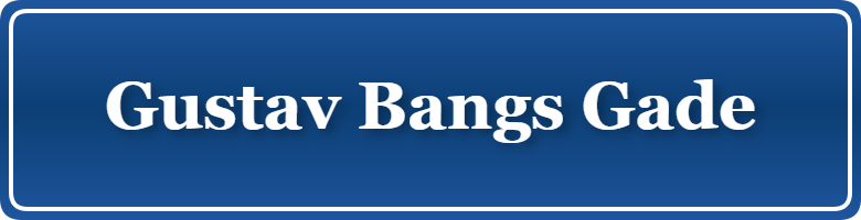 Parkering p&aring; Gustav Bangs Gade, K&oslash;benhavn