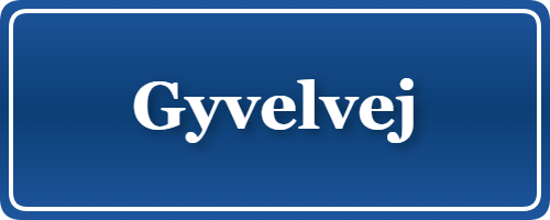 Parkering p&aring; Gyvelvej, K&oslash;benhavn