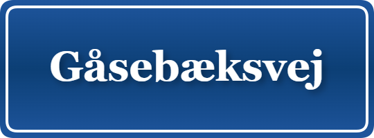 Parkering p&aring; Gåsebæksvej, K&oslash;benhavn