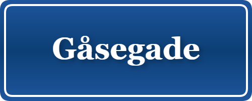 Parkering p&aring; Gåsegade, K&oslash;benhavn