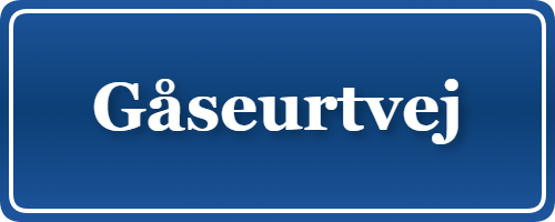 Parkering p&aring; Gåseurtvej, K&oslash;benhavn