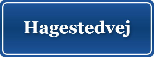 Parkering p&aring; Hagestedvej, K&oslash;benhavn