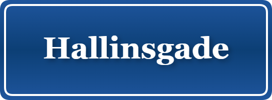 Parkering p&aring; Hallinsgade, K&oslash;benhavn