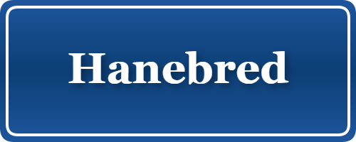 Parkering p&aring; Hanebred, K&oslash;benhavn