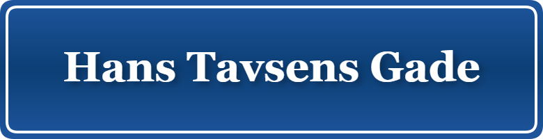 Parkering p&aring; Hans Tavsens Gade, K&oslash;benhavn