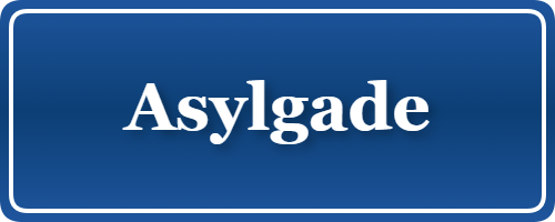 Parkering p&aring; Asylgade, K&oslash;benhavn