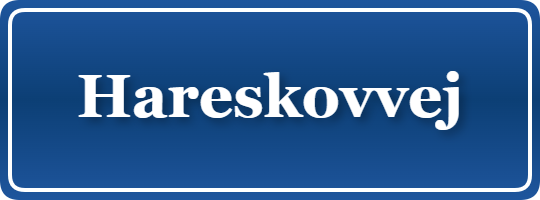Parkering p&aring; Hareskovvej, K&oslash;benhavn