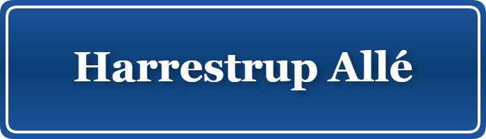 Parkering p&aring; Harrestrup Allé, K&oslash;benhavn