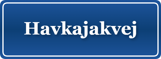 Parkering p&aring; Havkajakvej, K&oslash;benhavn