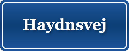 Parkering p&aring; Haydnsvej, K&oslash;benhavn