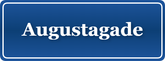 Parkering p&aring; Augustagade, K&oslash;benhavn