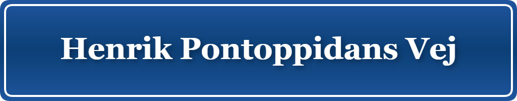 Parkering p&aring; Henrik Pontoppidans Vej, K&oslash;benhavn