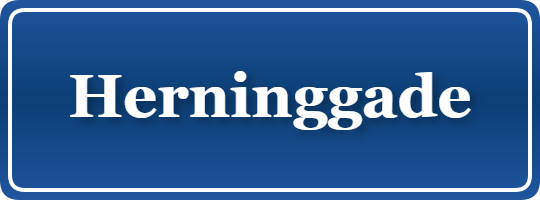 Parkering p&aring; Herninggade, K&oslash;benhavn