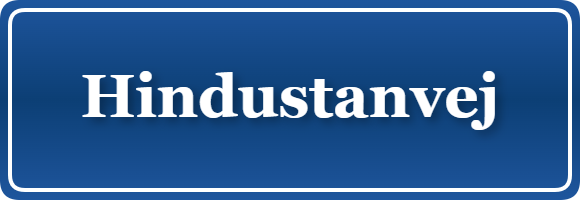 Parkering p&aring; Hindustanvej, K&oslash;benhavn