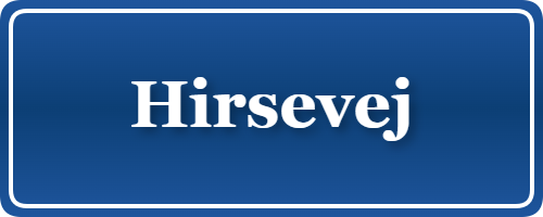 Parkering p&aring; Hirsevej, K&oslash;benhavn