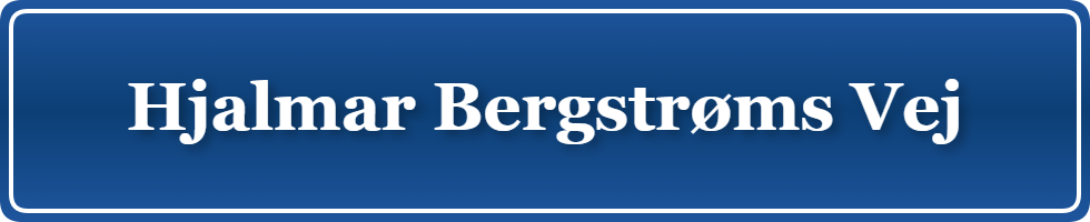 Parkering p&aring; Hjalmar Bergstrøms Vej, K&oslash;benhavn