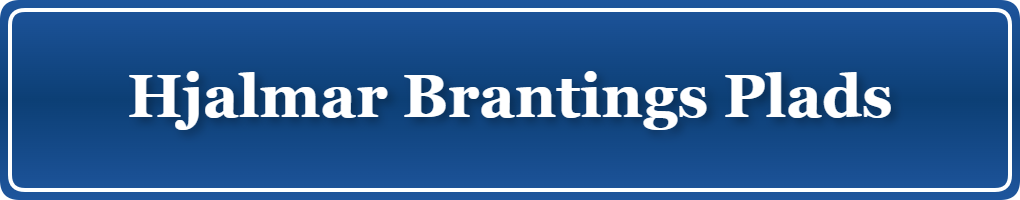 Parkering p&aring; Hjalmar Brantings Plads, K&oslash;benhavn