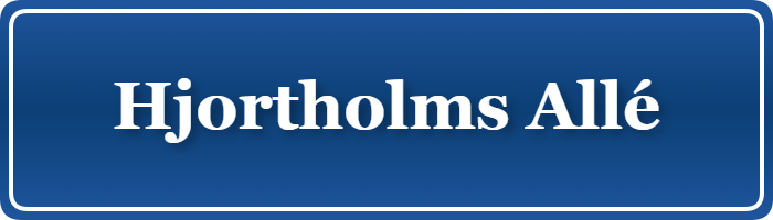 Parkering p&aring; Hjortholms Allé, K&oslash;benhavn