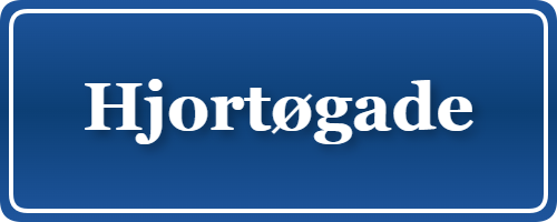 Parkering p&aring; Hjortøgade, K&oslash;benhavn