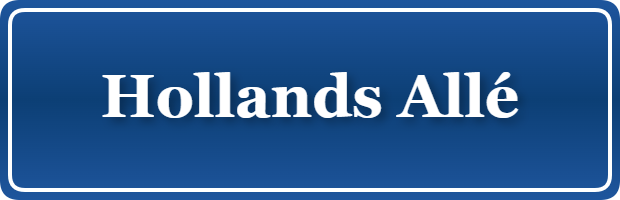 Parkering p&aring; Hollands Allé, K&oslash;benhavn