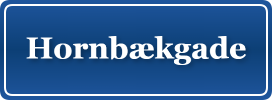 Parkering p&aring; Hornbækgade, K&oslash;benhavn