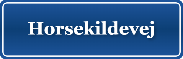 Parkering p&aring; Horsekildevej, K&oslash;benhavn