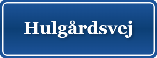 Parkering p&aring; Hulgårdsvej, K&oslash;benhavn