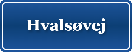 Parkering p&aring; Hvalsøvej, K&oslash;benhavn