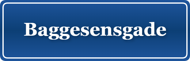 Parkering p&aring; Baggesensgade, K&oslash;benhavn