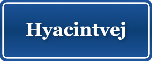 Parkering p&aring; Hyacintvej, K&oslash;benhavn