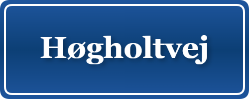 Parkering p&aring; Høgholtvej, K&oslash;benhavn