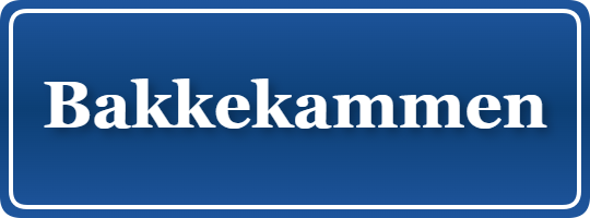 Parkering p&aring; Bakkekammen, K&oslash;benhavn