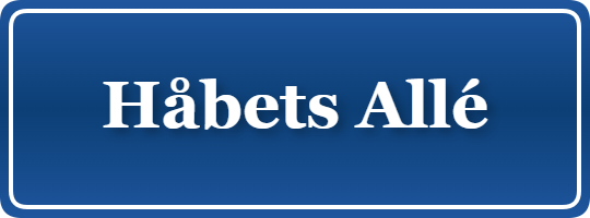 Parkering p&aring; Håbets Allé, K&oslash;benhavn