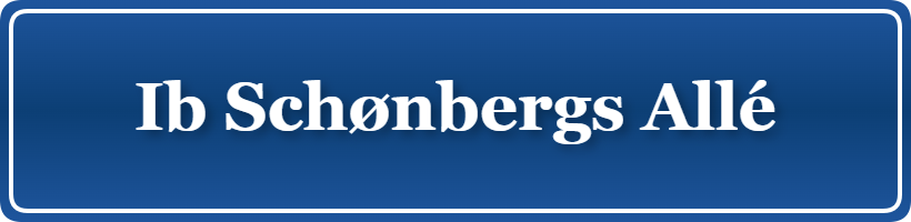 Parkering p&aring; Ib Schønbergs Allé, K&oslash;benhavn