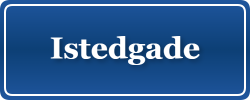 Parkering p&aring; Istedgade, K&oslash;benhavn