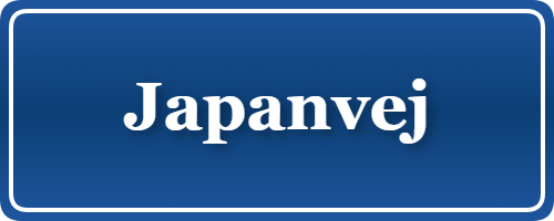 Parkering p&aring; Japanvej, K&oslash;benhavn