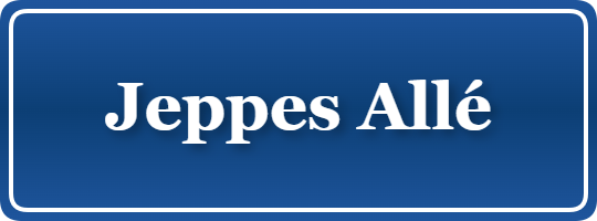 Parkering p&aring; Jeppes Allé, K&oslash;benhavn