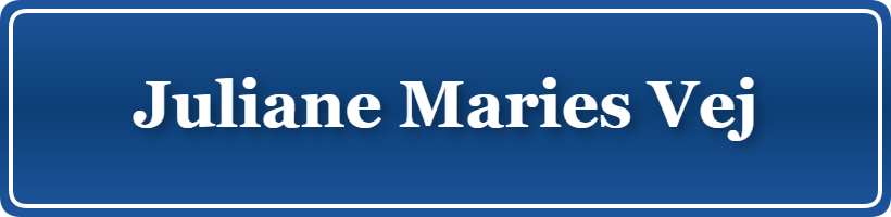 Parkering p&aring; Juliane Maries Vej, K&oslash;benhavn