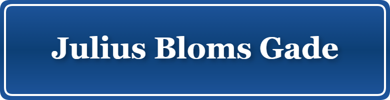 Parkering p&aring; Julius Bloms Gade, K&oslash;benhavn