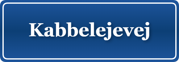 Parkering p&aring; Kabbelejevej, K&oslash;benhavn