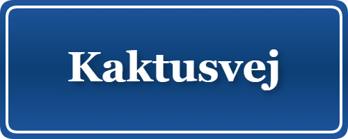 Parkering p&aring; Kaktusvej, K&oslash;benhavn